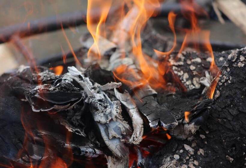 فندق Alpine Creek Lodge