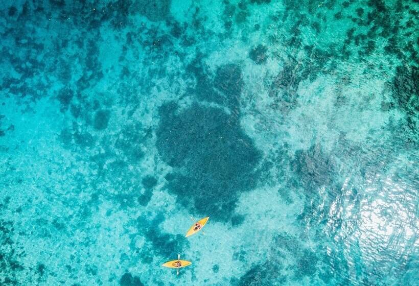 هتل Club Tara Island Resort