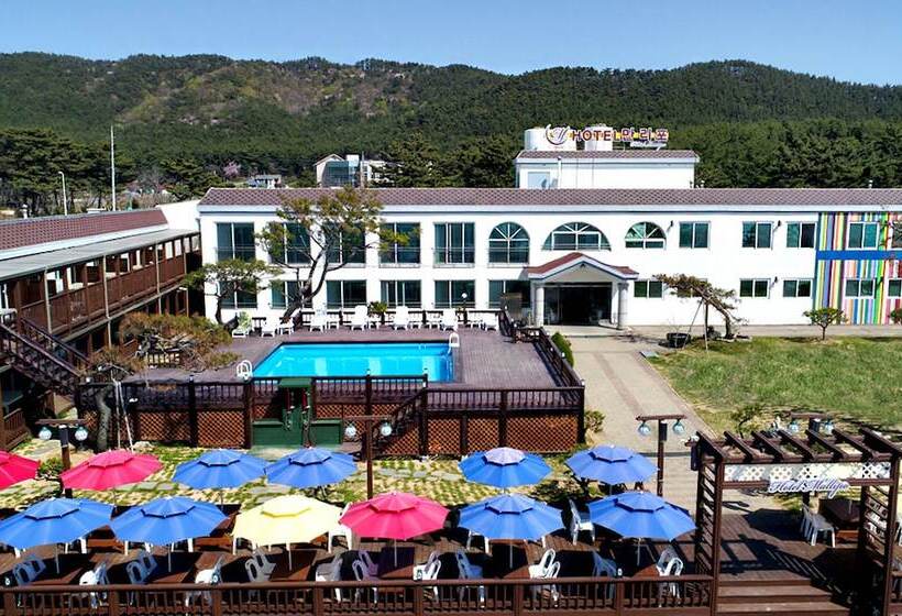 Hotel Manripo