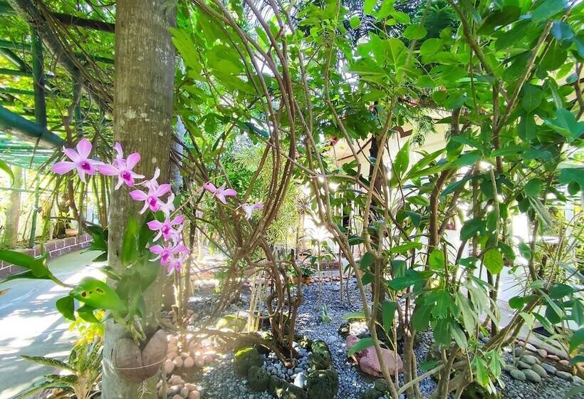 בית מלון כפרי Olana Bed And Breakfast