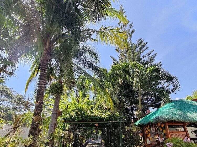 בית מלון כפרי Olana Bed And Breakfast