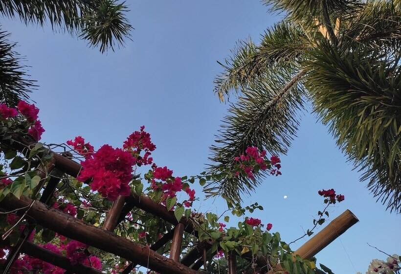 בית מלון כפרי Olana Bed And Breakfast