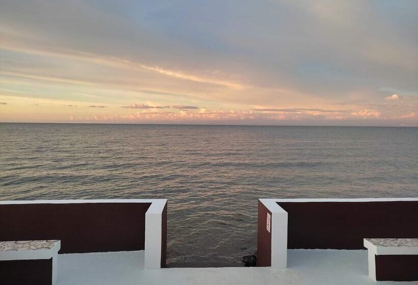 בית מלון כפרי Olana Bed And Breakfast