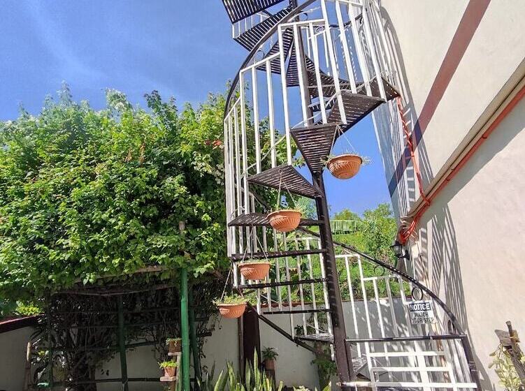 בית מלון כפרי Olana Bed And Breakfast