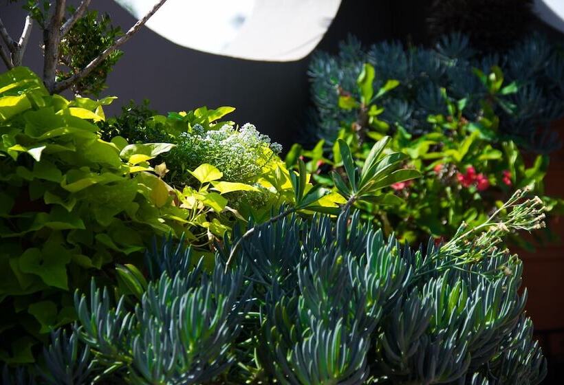 Bed and Breakfast Casa Del Sol Inn