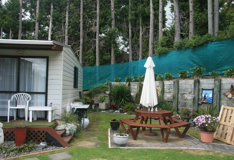Accommodation At Te Puna Motel