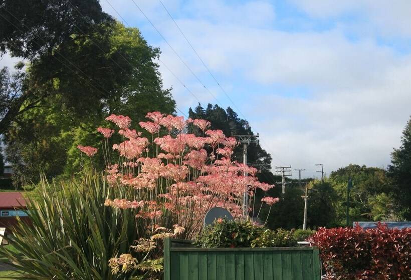 Accommodation At Te Puna Motel