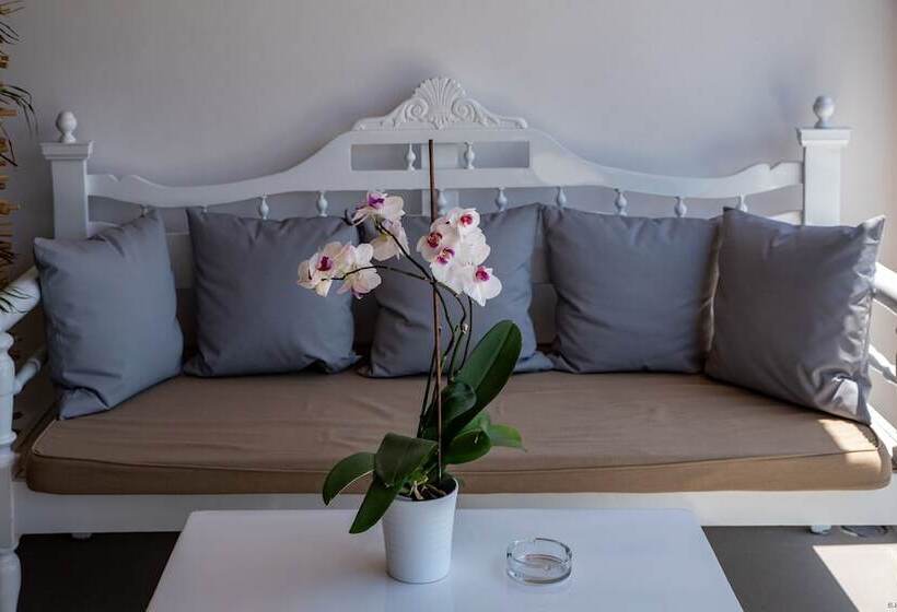 酒店 Casa Di Pietra Mykonos