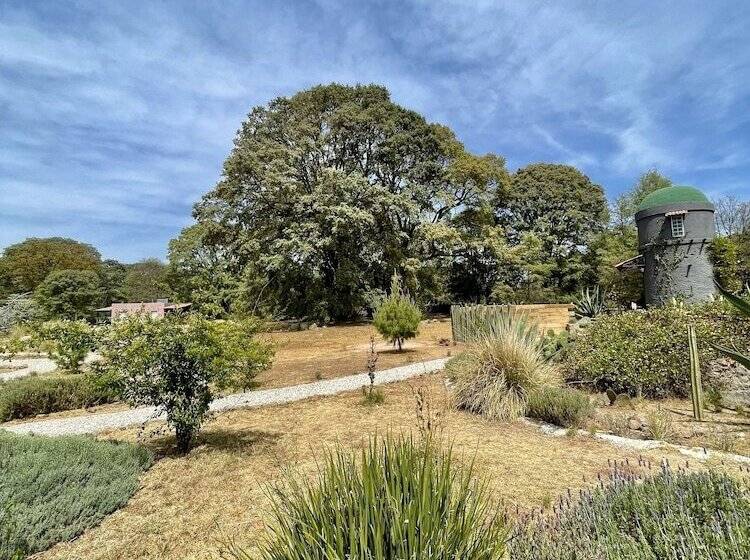 בית מלון כפרי Casa Maria Campiña