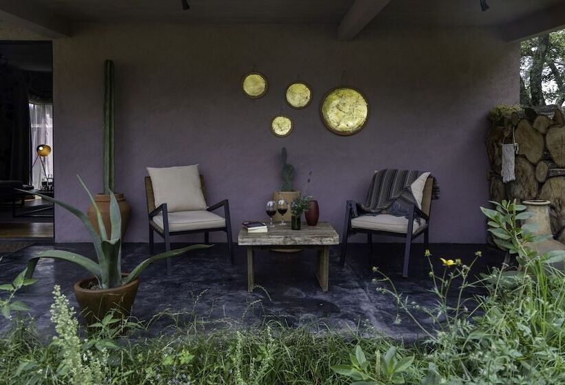 בית מלון כפרי Casa Maria Campiña