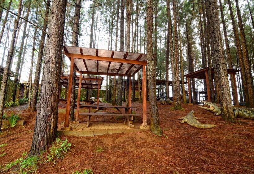 בית מלון כפרי Dahilayan Forest Park Resort