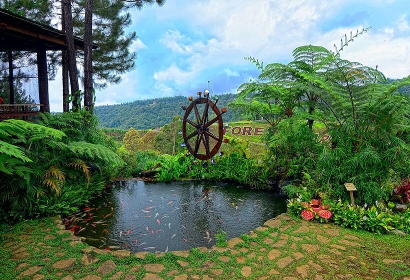 فندق Dahilayan Forest Park Resort