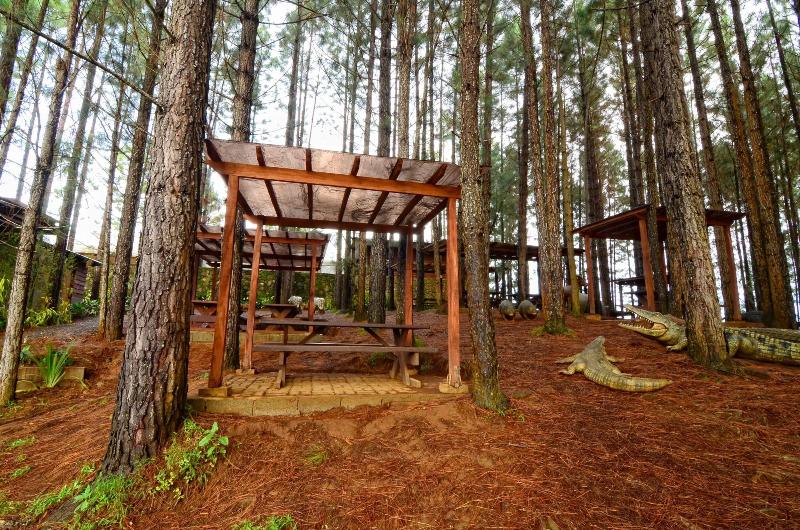 فندق Dahilayan Forest Park Resort