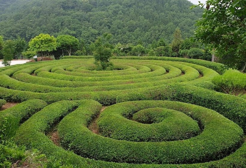 ホテル Golmangtae