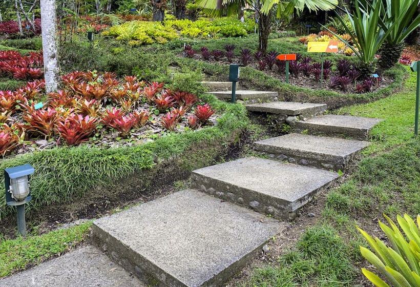 בית מלון כפרי Las Cruces Biological Station