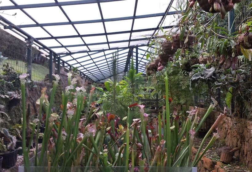 בית מלון כפרי Las Cruces Biological Station