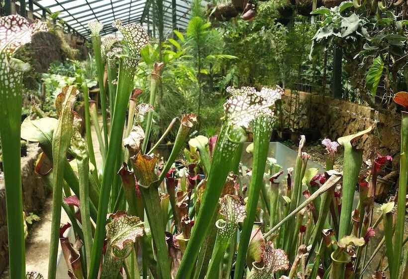 فندق Las Cruces Biological Station