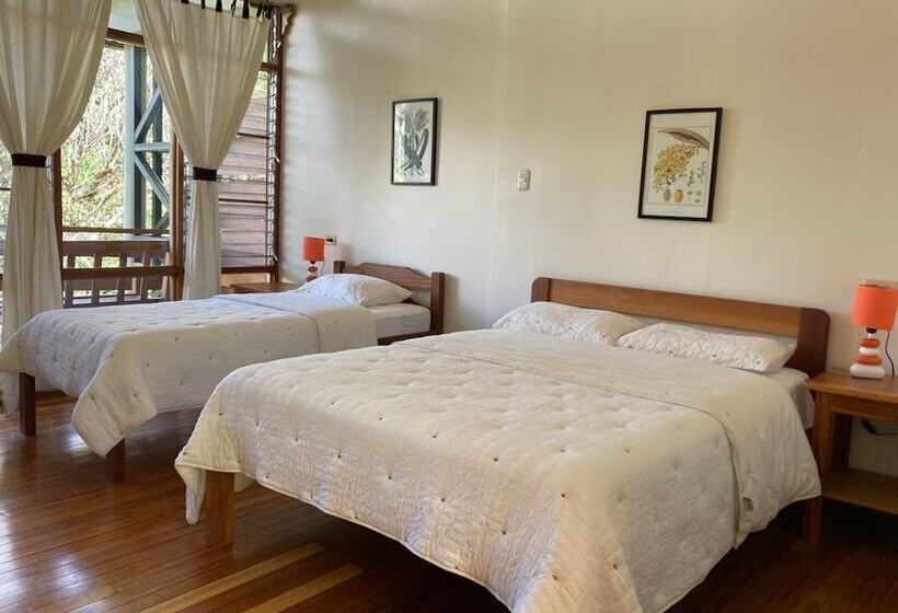 בית מלון כפרי Las Cruces Biological Station