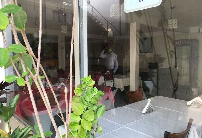 هتل Mivena On Airport Street