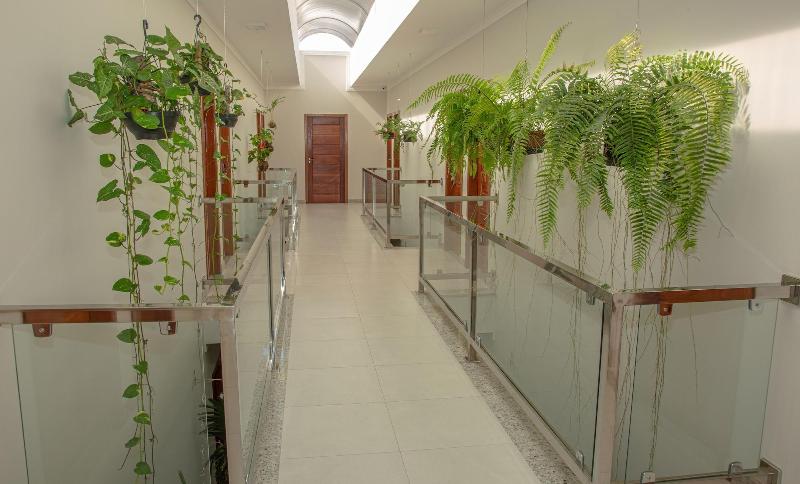 فندق Orquideas Praia