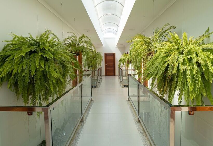 فندق Orquideas Praia