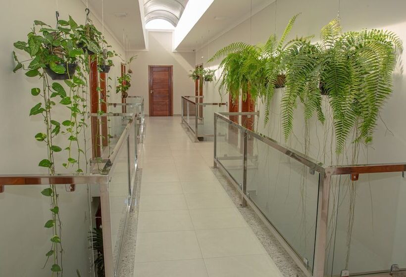 فندق Orquideas Praia