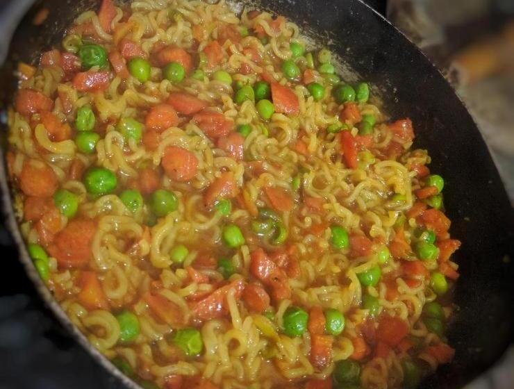 Отель Panna Palace Guest House