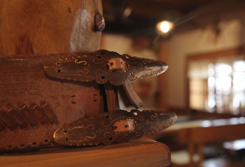 Отель Penzion Vasilko