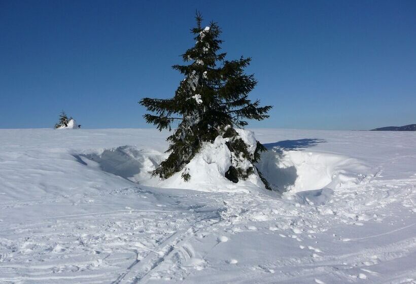 هتل Penzion Vasilko