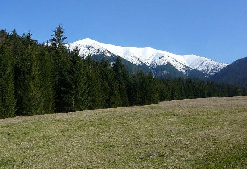 Отель Penzion Vasilko