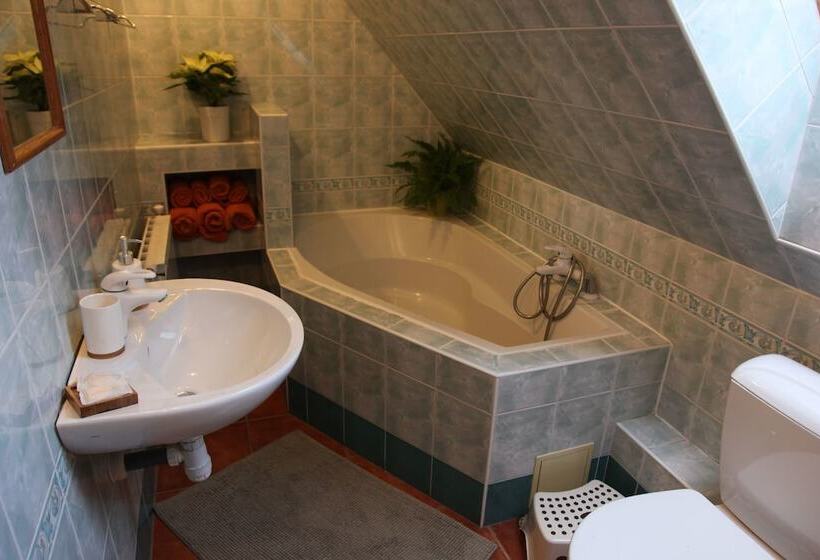 Отель Penzion Vasilko