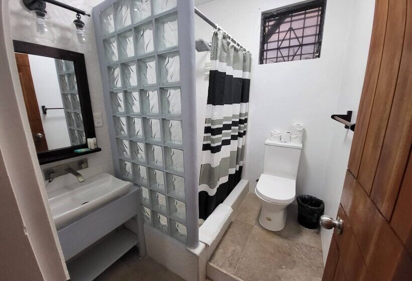 בית מלון כפרי Rachel Land Apartment Suites