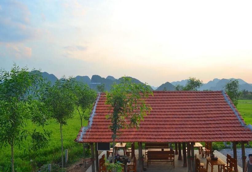 هتل Sy's Homestay