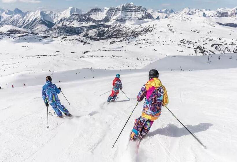 酒店 The Orchid Shimla