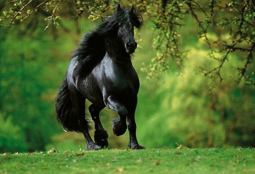 هتل To Archontiko Guesthouse Villa