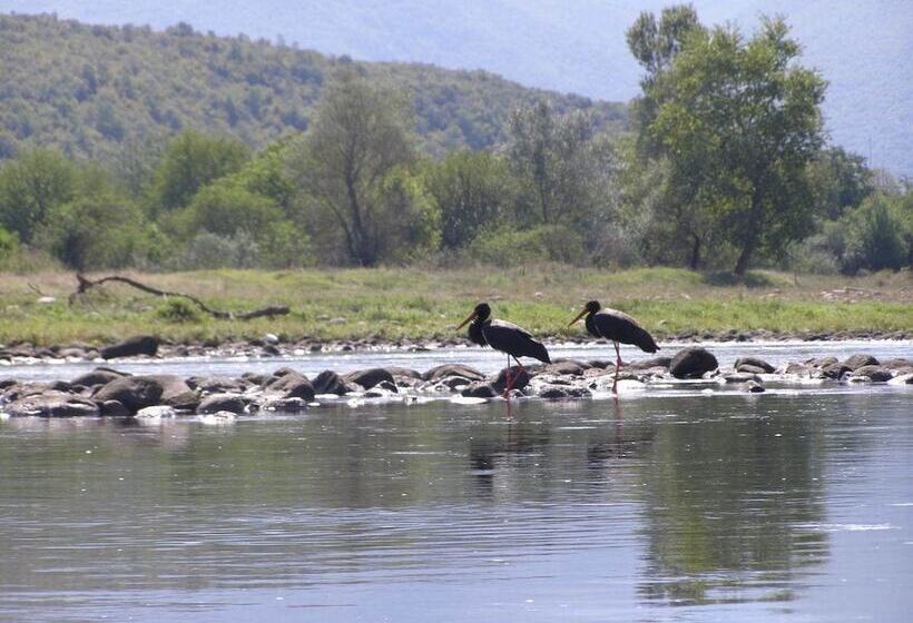 酒店 To Archontiko Guesthouse Villa