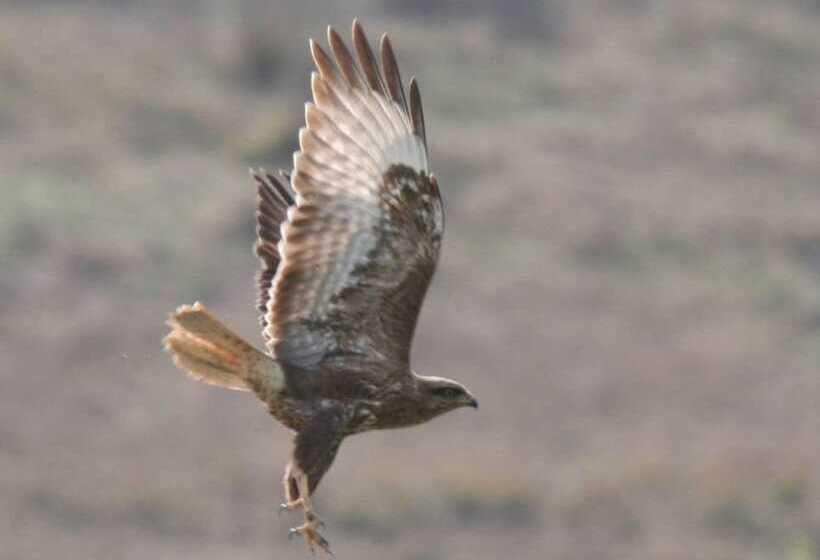 酒店 To Archontiko Guesthouse Villa