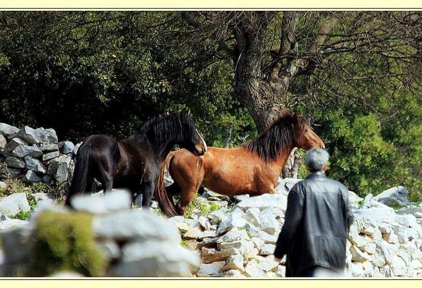 酒店 To Archontiko Guesthouse Villa