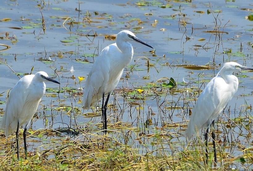 酒店 To Archontiko Guesthouse Villa