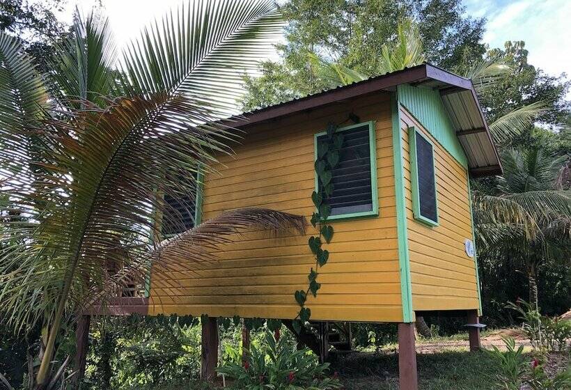 ホテル T.r.e.e.s Research Center And Eco Lodge