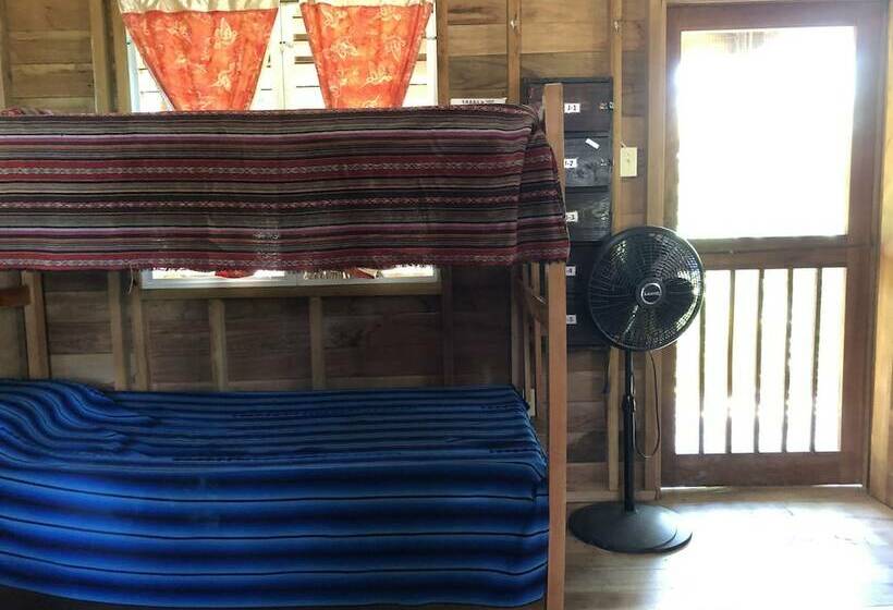 ホテル T.r.e.e.s Research Center And Eco Lodge