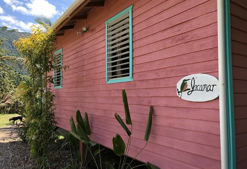 ホテル T.r.e.e.s Research Center And Eco Lodge