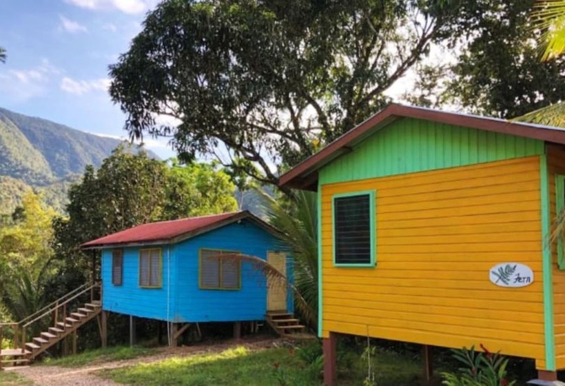 ホテル T.r.e.e.s Research Center And Eco Lodge