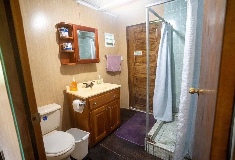 ホテル T.r.e.e.s Research Center And Eco Lodge