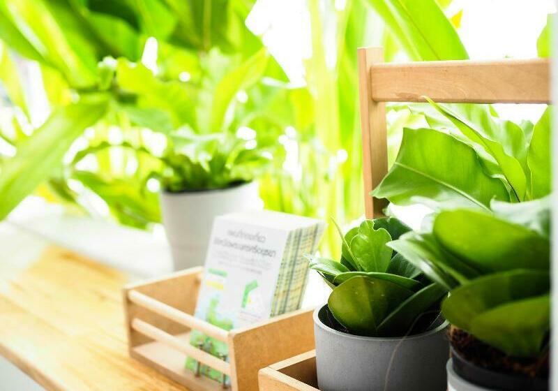 فندق Unyak Room Ayutthaya