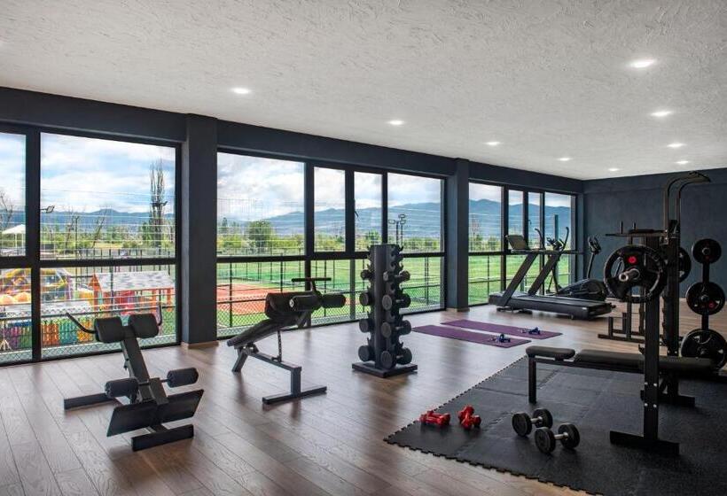 هتل Villa Mosavali