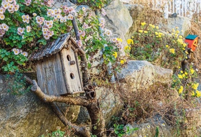 ホテル Yangyang Silver Sea Pension