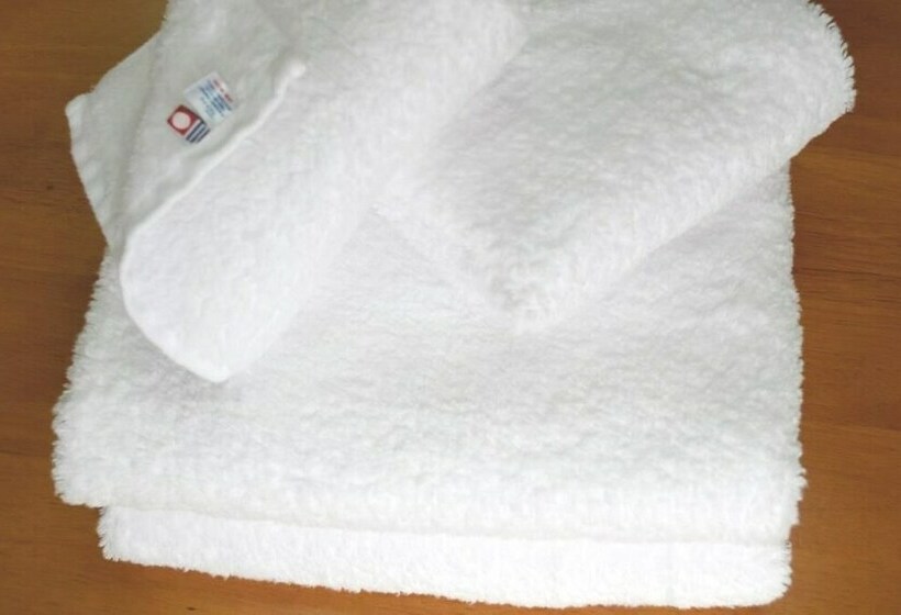 بنسيون Oomishima Ikoinoie