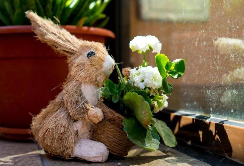 펜션 Vila Anastasia