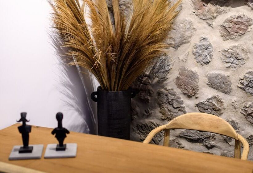 بنسيون Vrachos Suites Mykonos